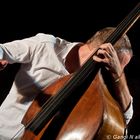 Avishai Cohen at Shuni, Israel