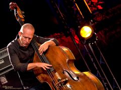 Avishai Cohen