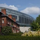 Aviva Stadium