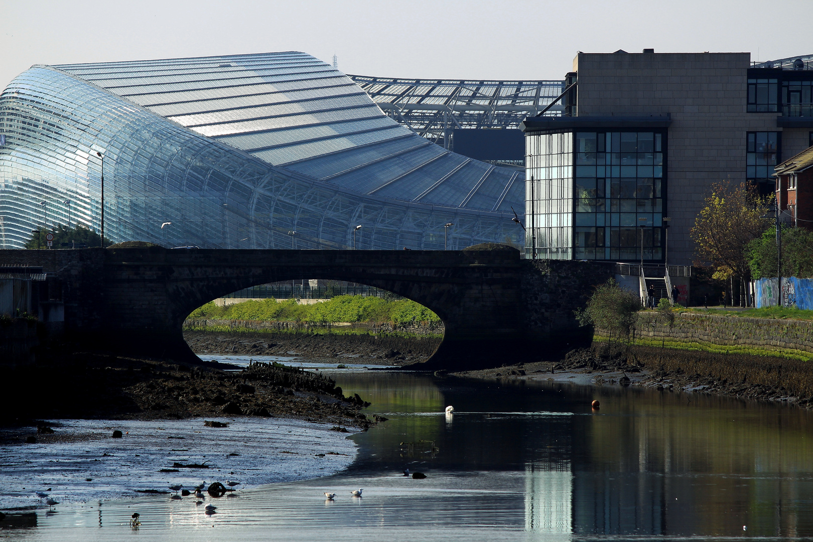 Aviva Stadium