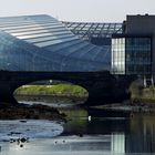 Aviva Stadium