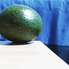 Avocado1