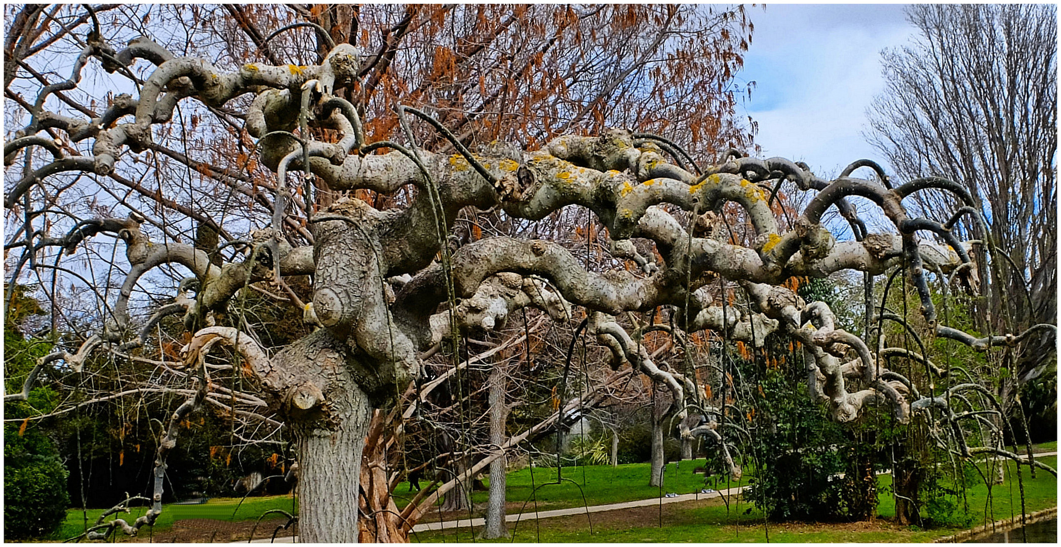 Avoir de la branche...