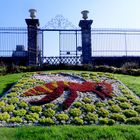 Avranches - Jardin des plantes - Détail