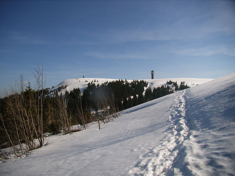 Avril sur le Feldberg