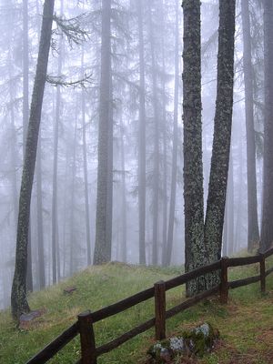 avvolgo e nascondo...sono la nebbia.