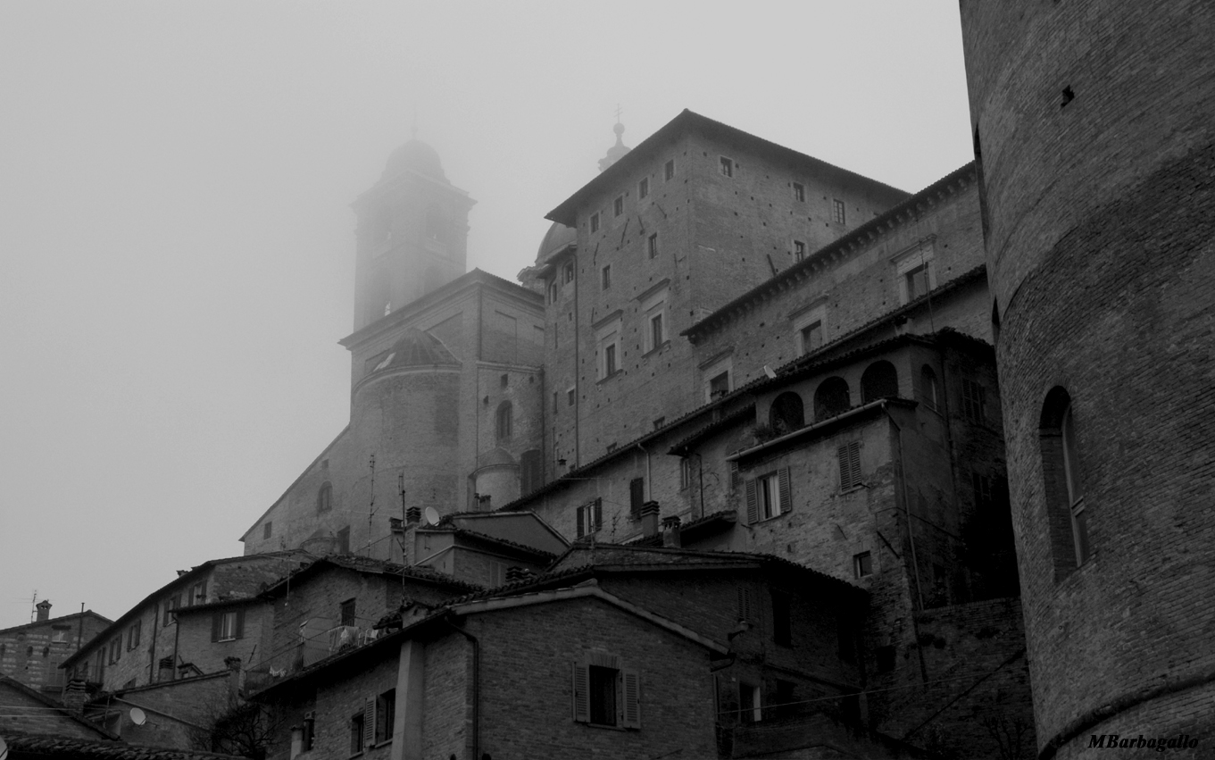 Avvolta dalla Nebbia