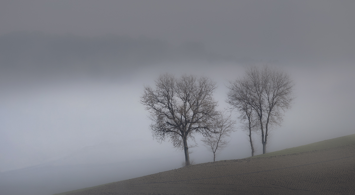 Avvolti da un sospiro di silenzio