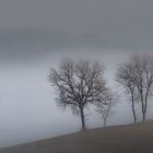 Avvolti da un sospiro di silenzio