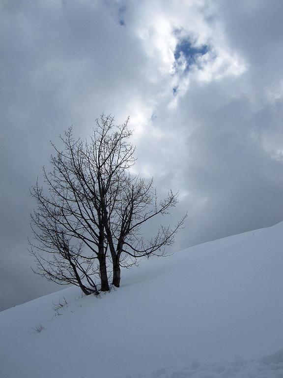 Avvolto nel bianco