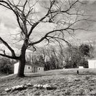 Awaiting Springtime on a Virginia Hillside