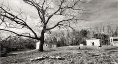 Awaiting Springtime on a Virginia Hillside