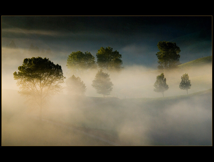 Awakening In The Fog