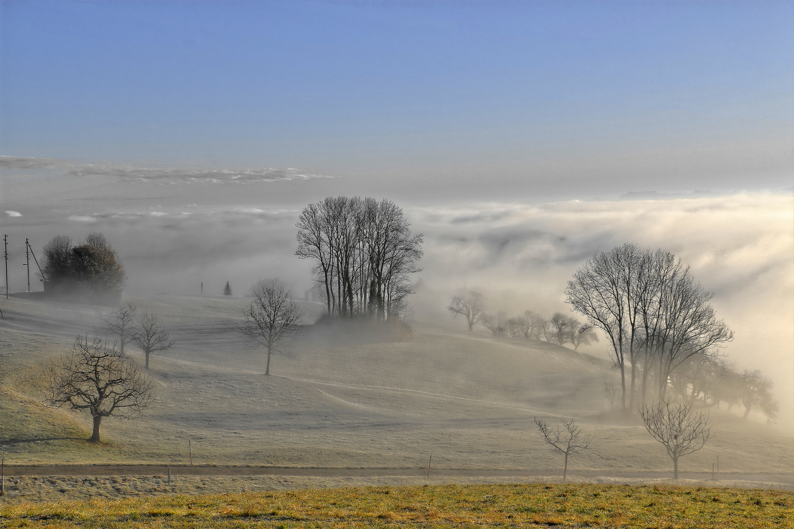 Awakening in the morning