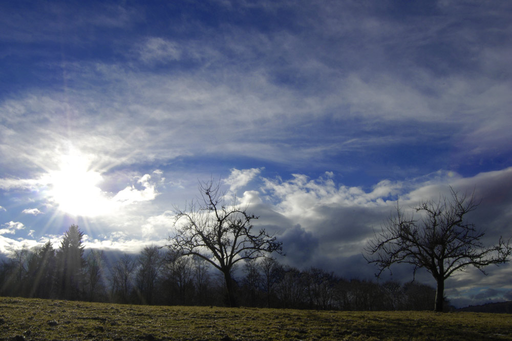 Awaking In The Sun