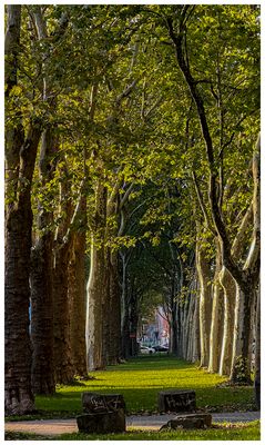 Away From The Hustle And Bustle