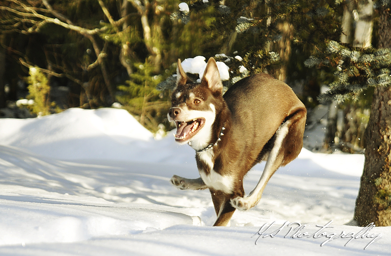 Awesome running style!