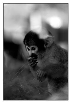 Awwiesüüüüüüüüß und so...