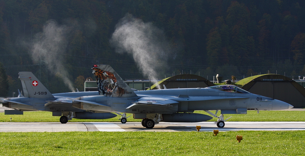 Axalp 2008 #8