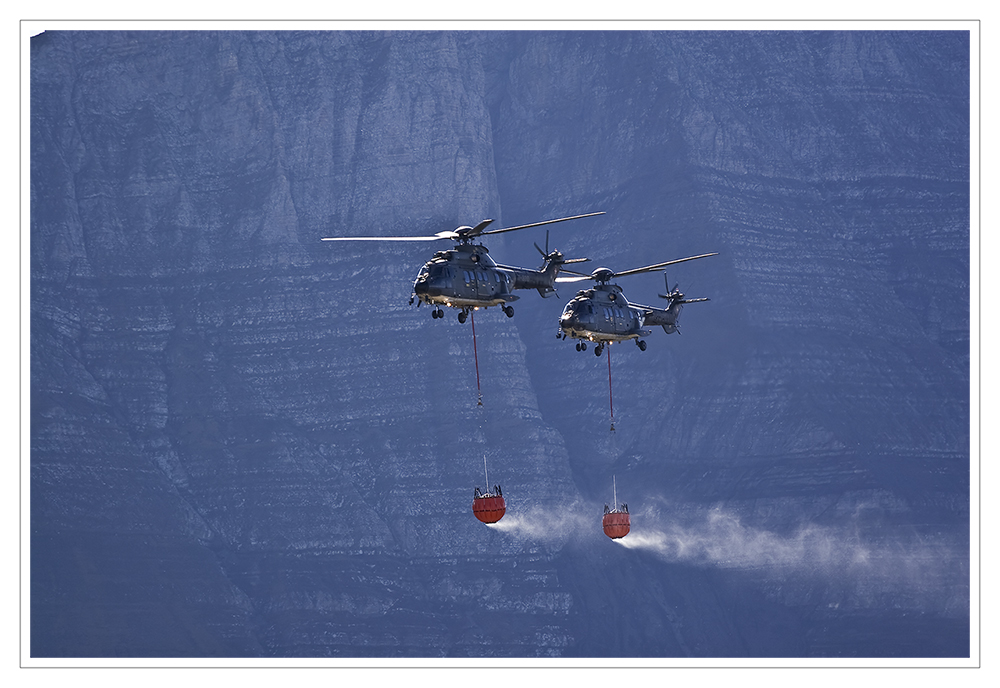 Axalp 2009: AS 332 Superpuma