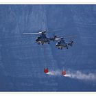 Axalp 2009: AS 332 Superpuma