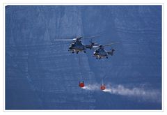 Axalp 2009: AS 332 Superpuma