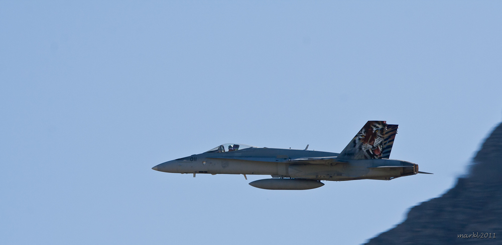 Axalp 2009 - Hornet #1