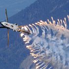 AXALP 2009.20