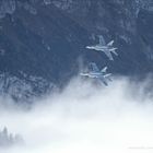 ~ AXALP 2010 - F/A 18 ~