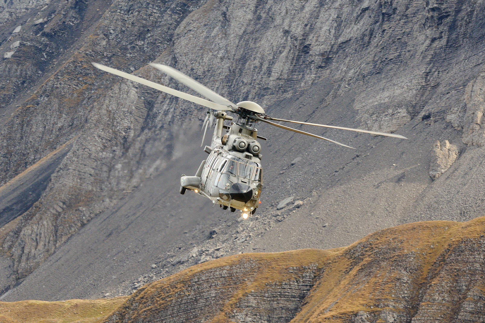 Axalp 2012 - Cougar 1