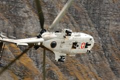 Axalp 2012 - Cougar 2