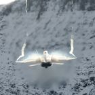 Axalp 2012 F/A-18 Hornet