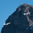 Axalp 2018