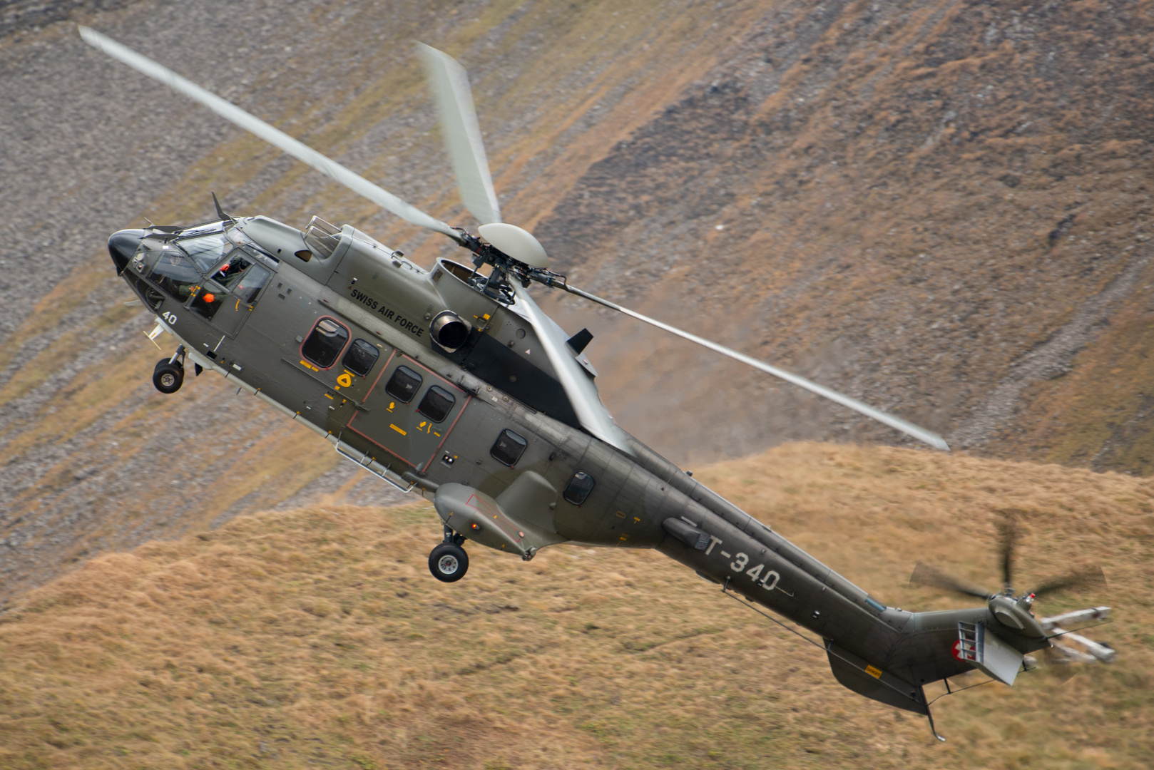 AxAlp 2018 Cougar B1