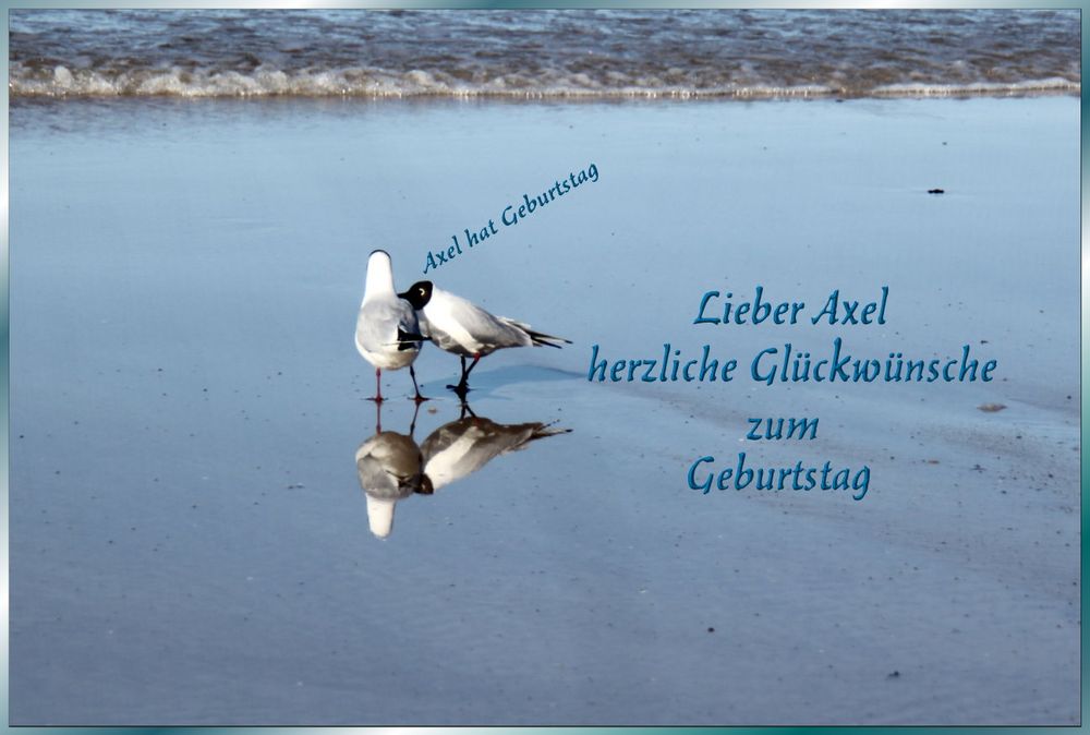 Axel hat Geburtstag Foto & Bild spezial, geburtstag, gratulation und