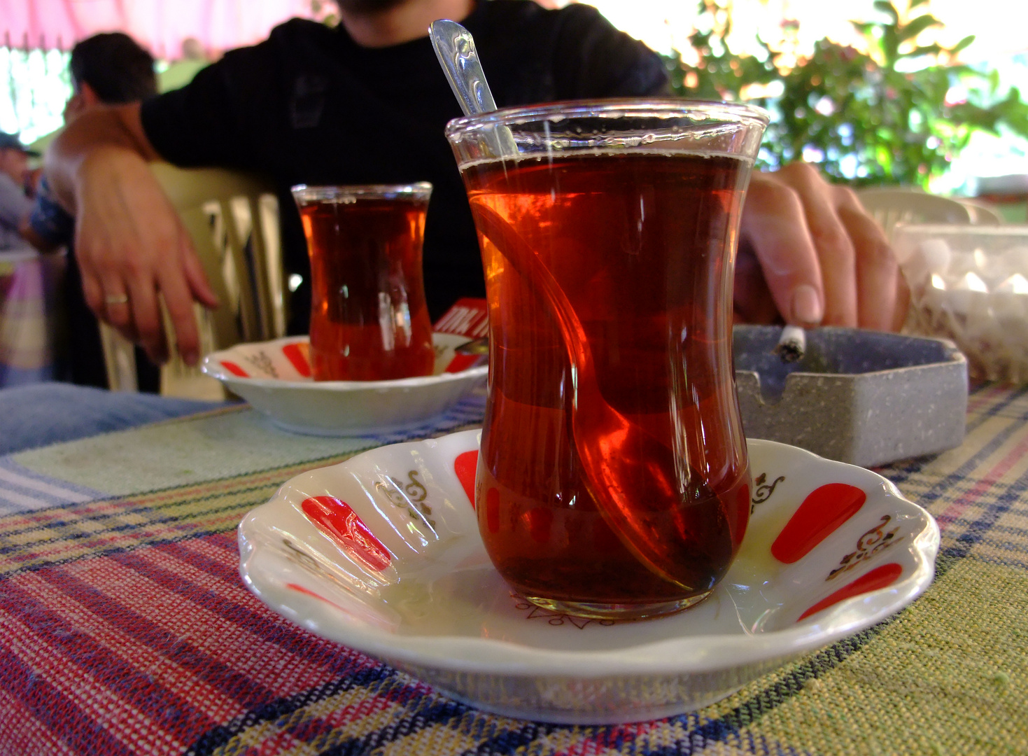 Çay Bahçesi — Im Teegarten