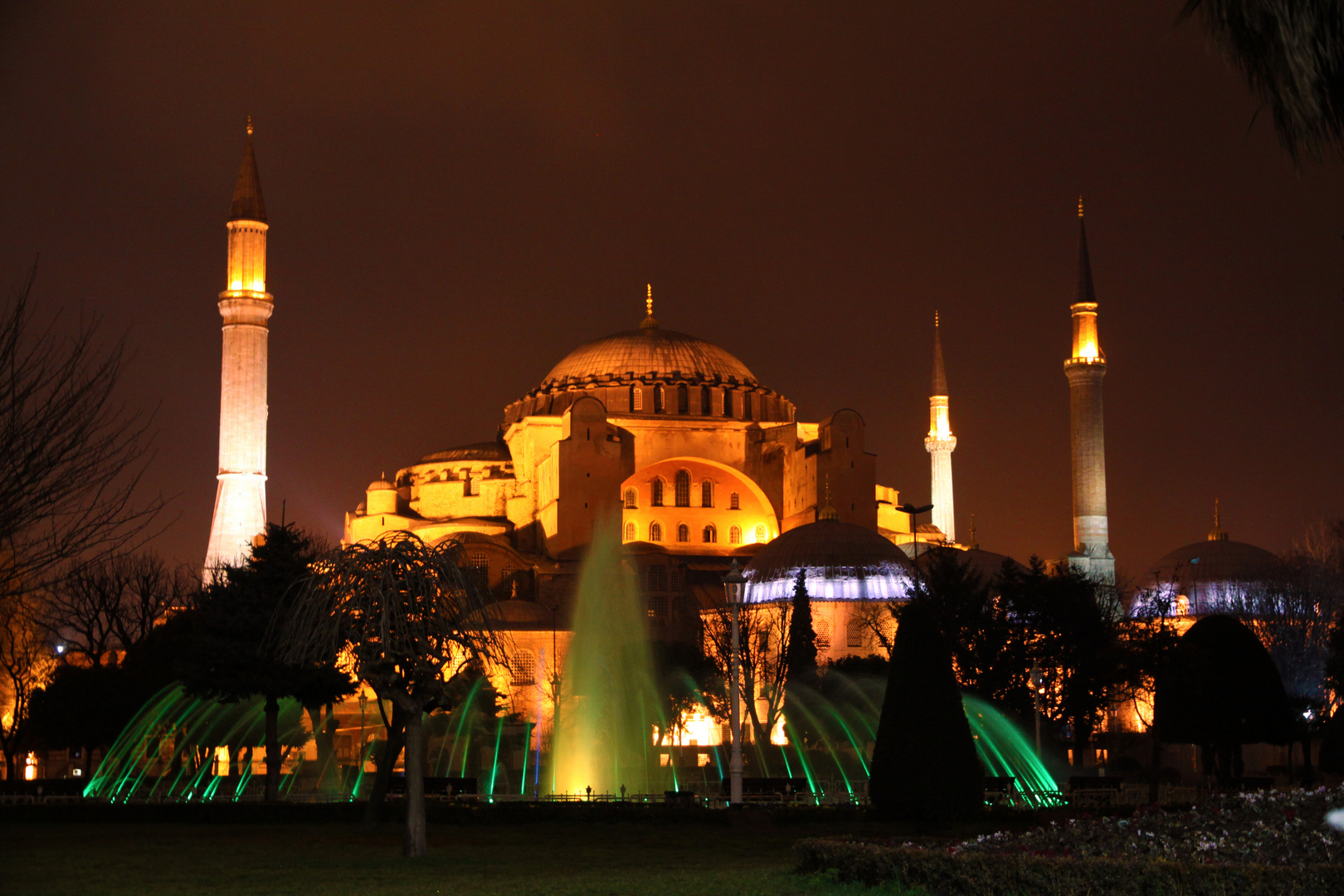 Aya Sofia