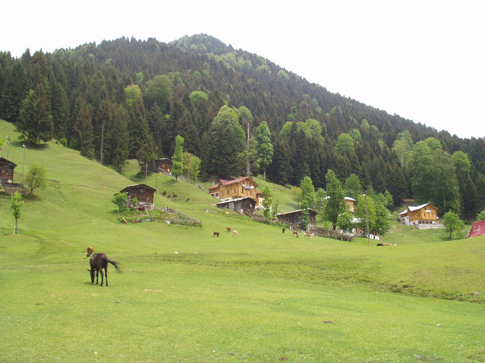 Ayder Rize / Türkei