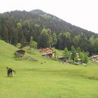 Ayder Rize / Türkei