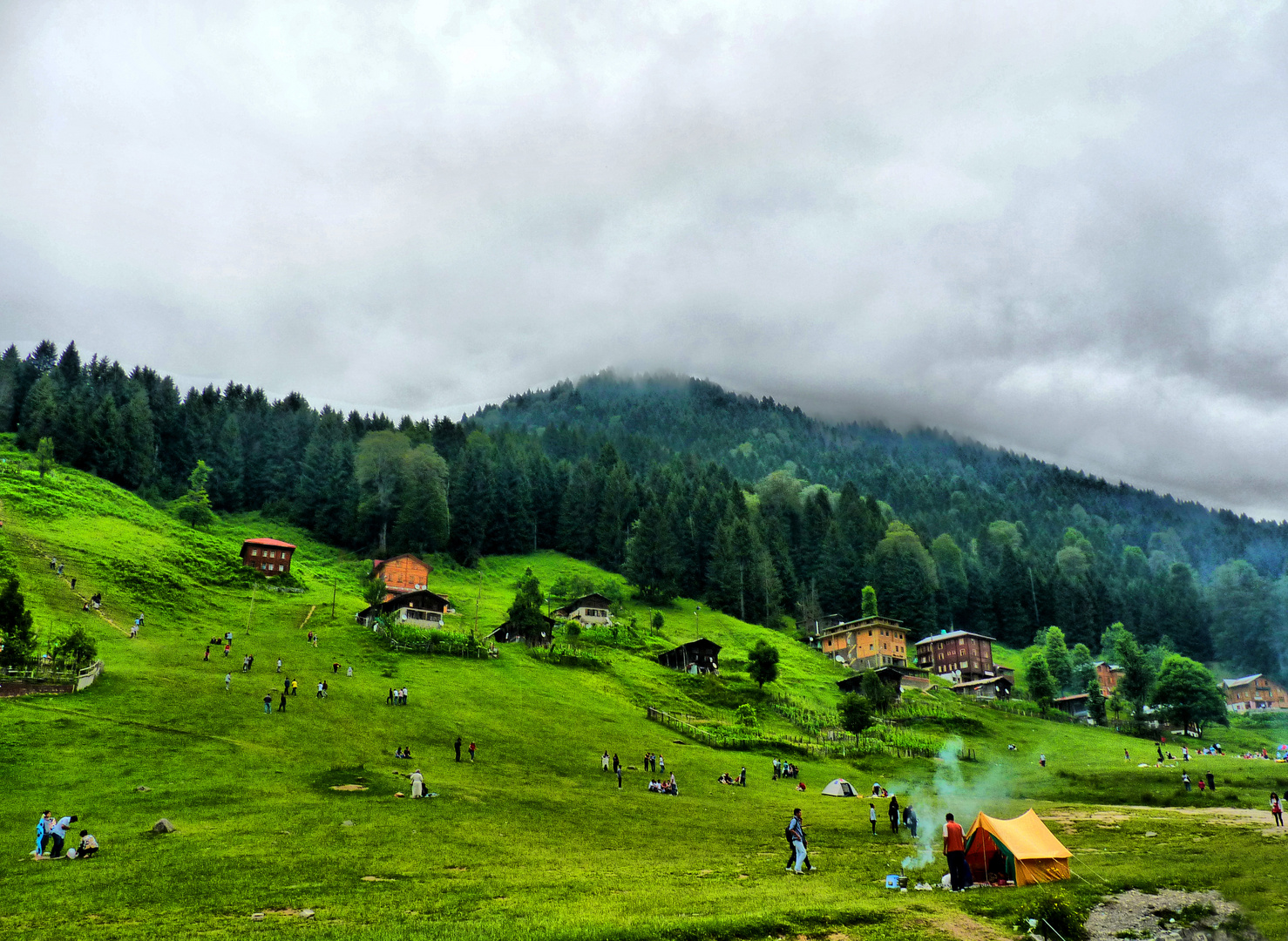 Ayder yaylas&#305; /Türkiye