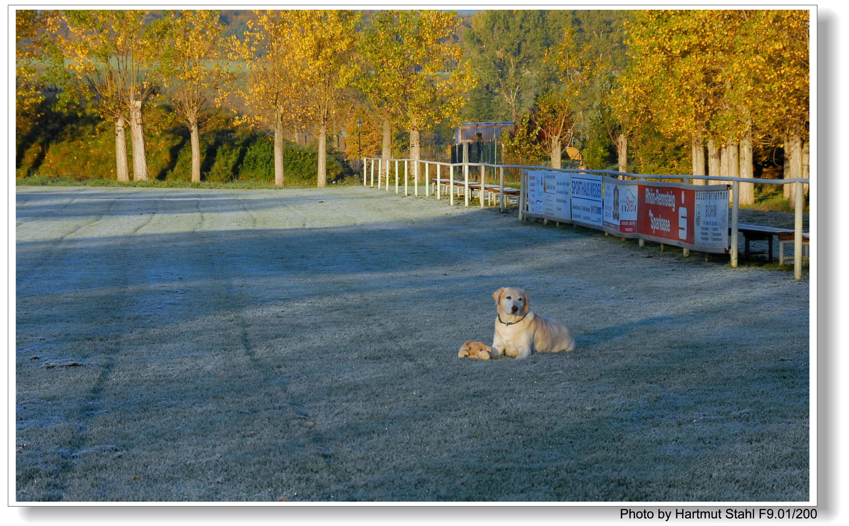 Ayer de la mañana, Bonnie está esperándome en el campo de deportes (Bonnie wartet auf mich)