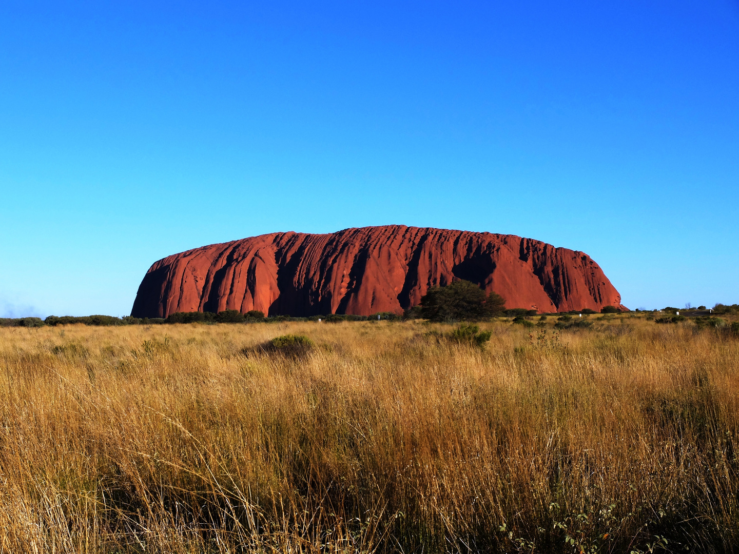 Ayers Rock