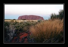 ::: Ayers Rock :::