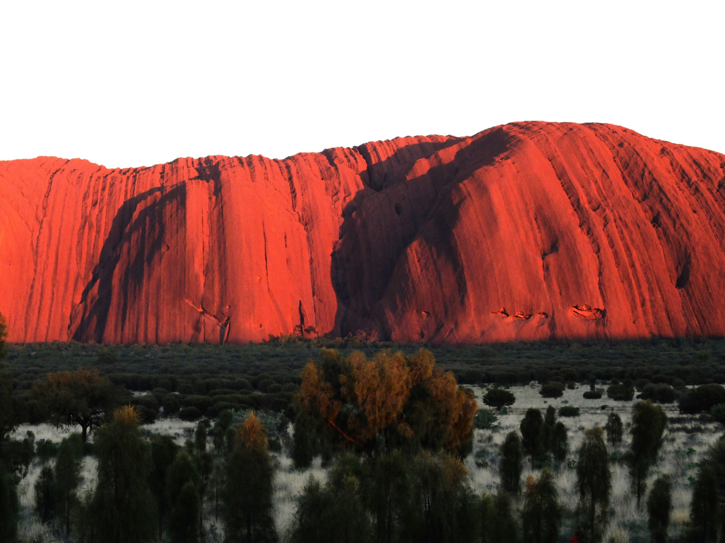 Ayers Rock at 6 in the morning 