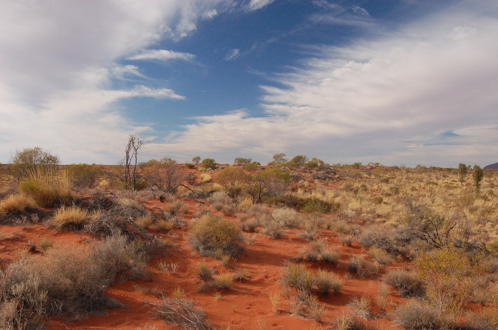 Ayers Rock aus der Ferne