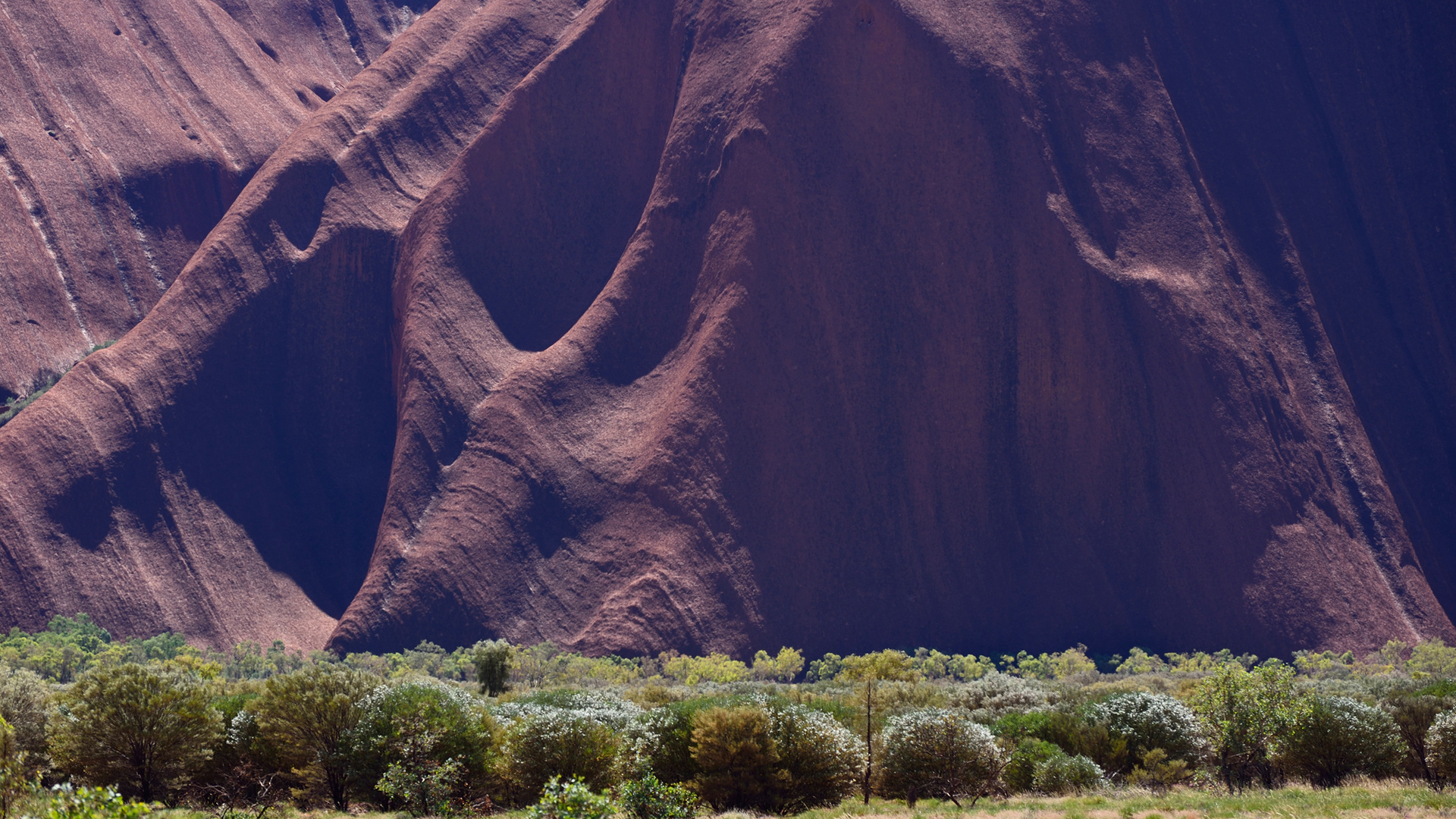 ayers-rock (Detail)