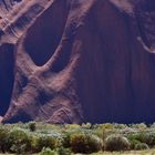 ayers-rock (Detail)