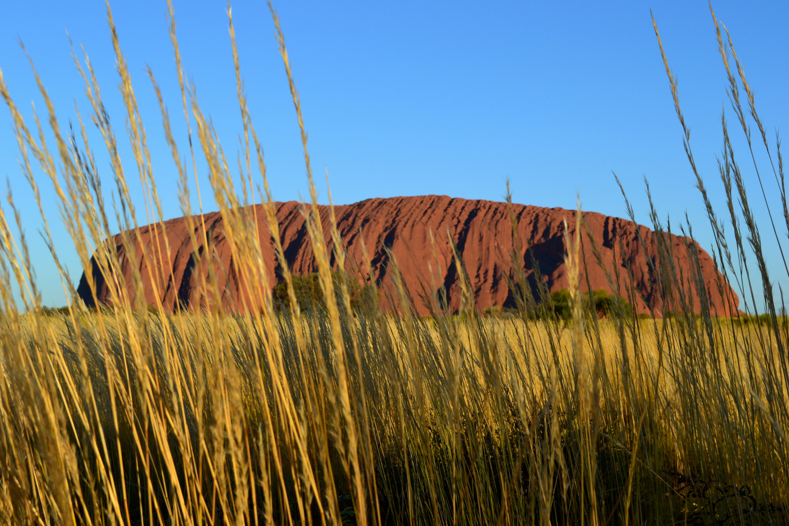 Ayers Rock