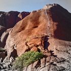 AYERS ROCK - ULURU - 2005...