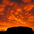 Ayers Rock-Uluru